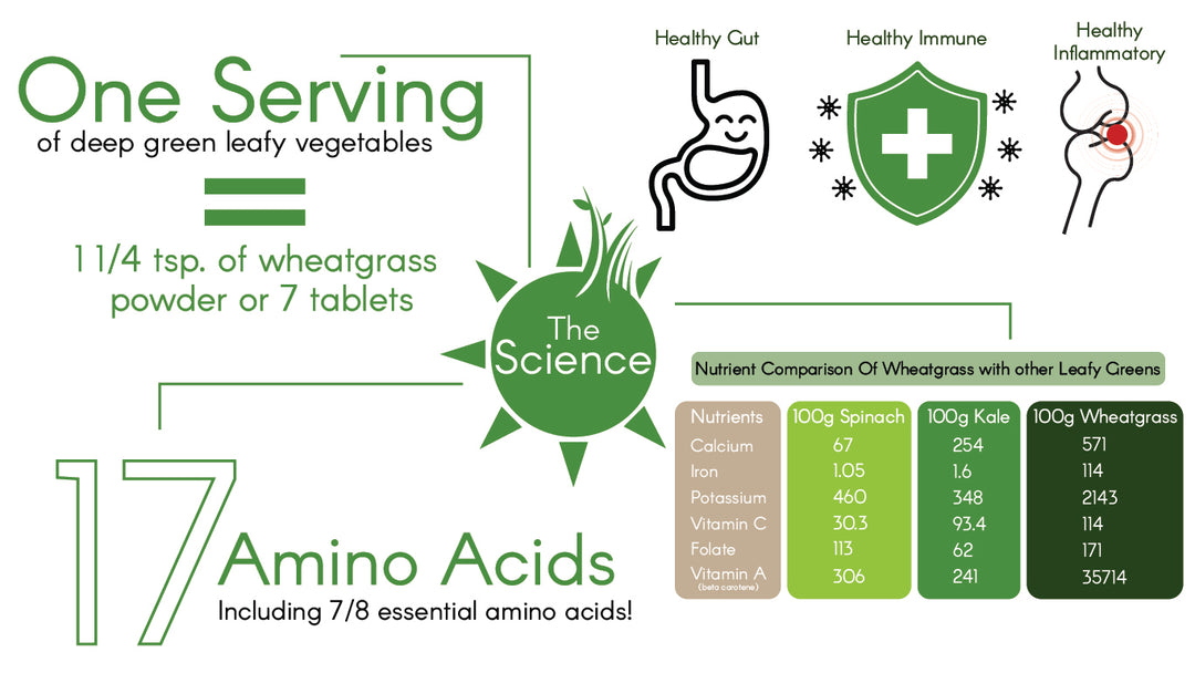 Sol Greens™ Science – The Smarter Foods Co.